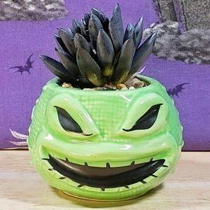Disney Nightmare Before Christmas Oogie Boogie 3.75" Mini Succulent Plant New
